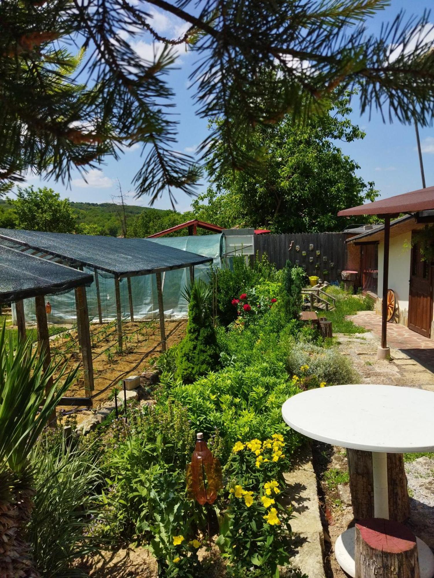 Къща Под Наем Petrova Hotel Cherven  Ngoại thất bức ảnh
